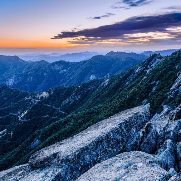 Meet your Posher, Berlinda - Picture 1 of 1